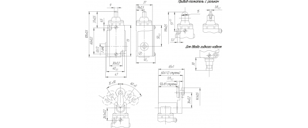 ВП-1-11 - Выключатель путевой взрывозащищенный